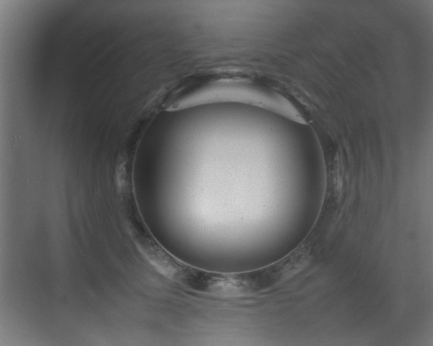 X0000075360611200609081217