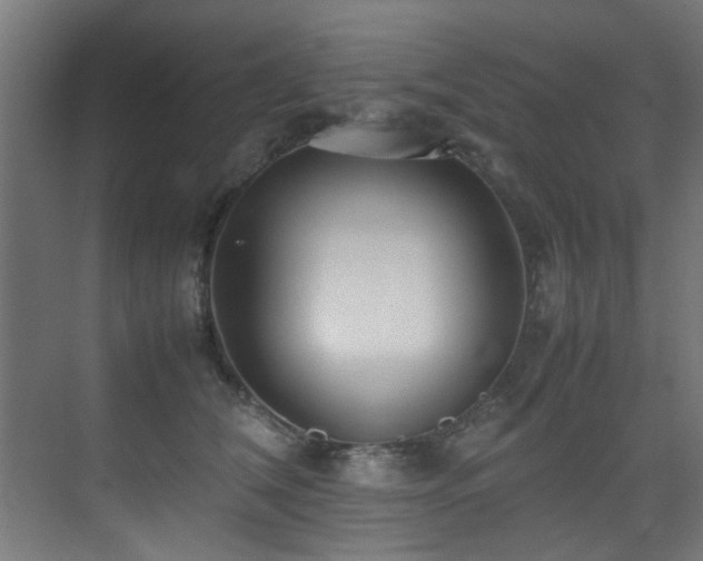 X0000075360612200609081217