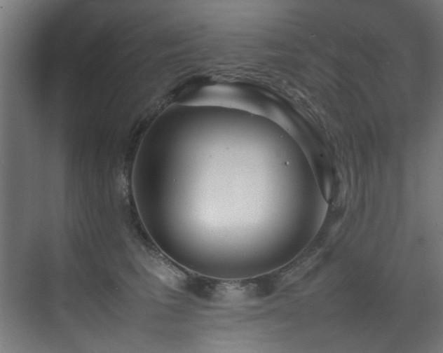 X0000075360613200609081217