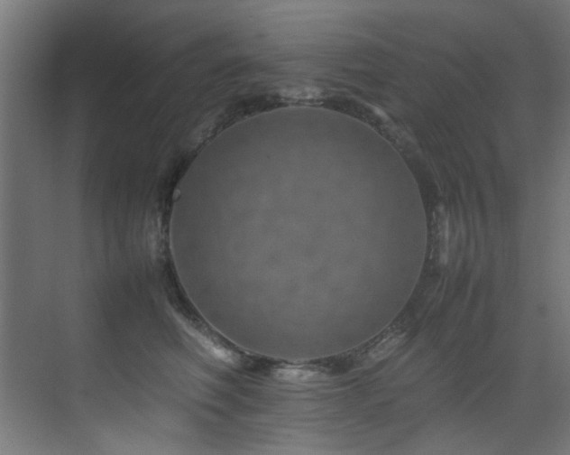 X0000075360614200609081217