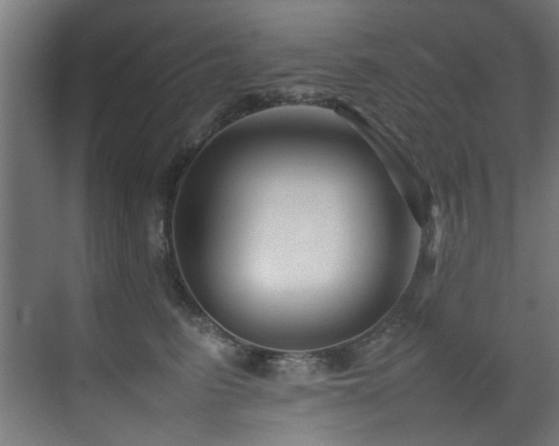 X0000075360615200609081217