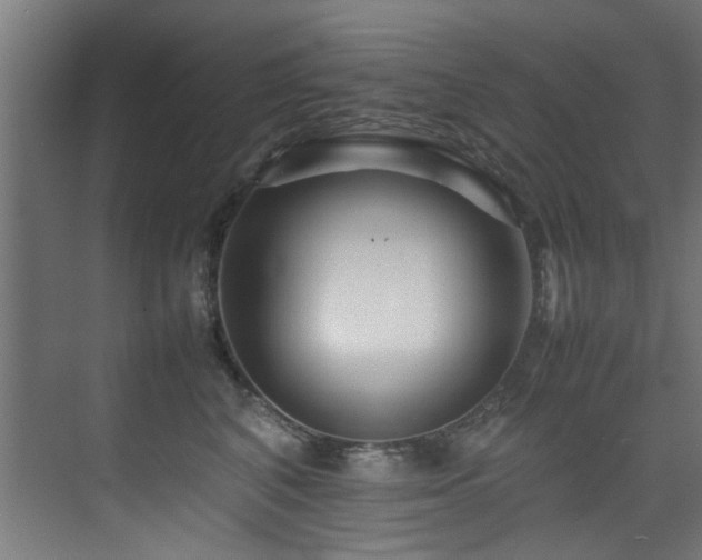 X0000075360616200609081217