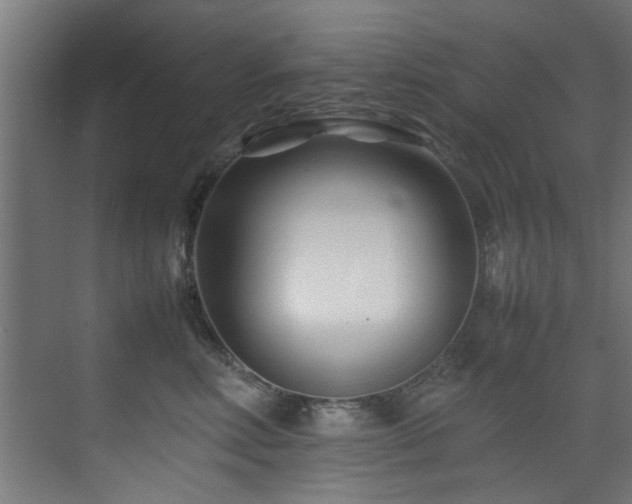 X0000075360618200609081217