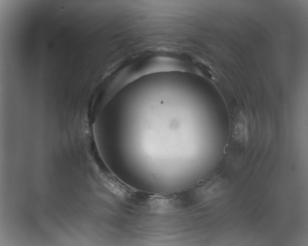 X0000075360620200609081217