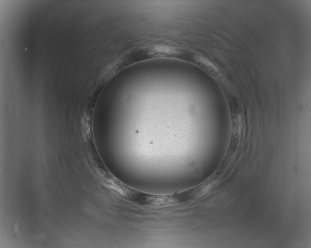 X0000075360621200609081217