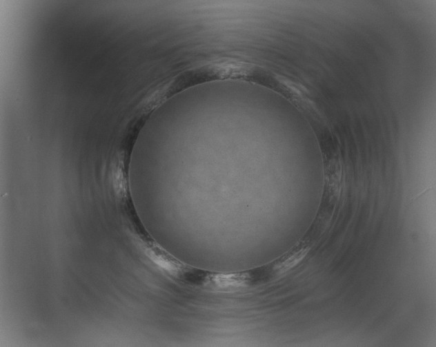 X0000075360622200609081217