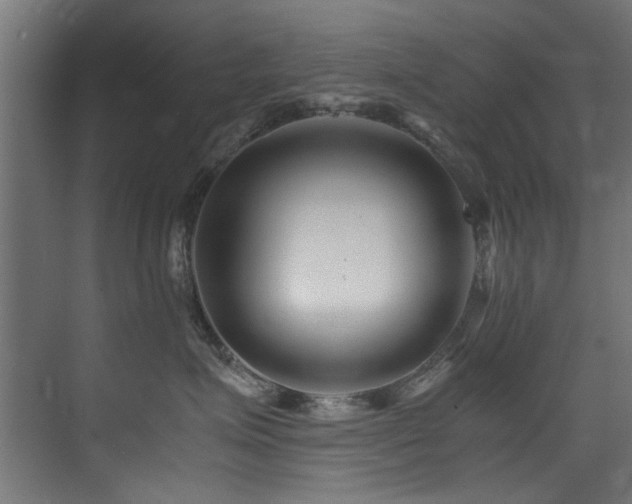 X0000075360623200609081217