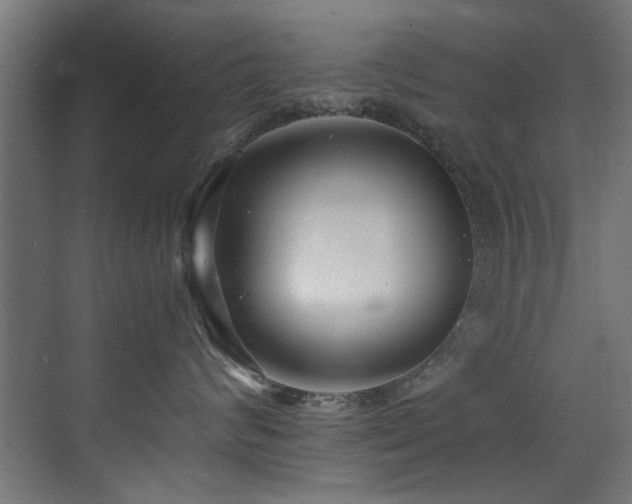 X0000075360624200609081217