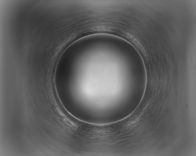 X0000075360625200609081216