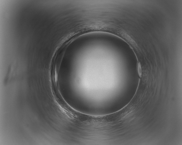 X0000075360626200609081216