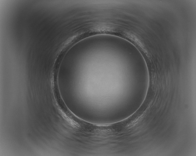 X0000075360629200609081216