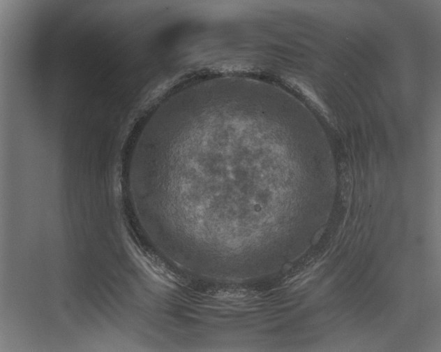 X0000075360631200609081216