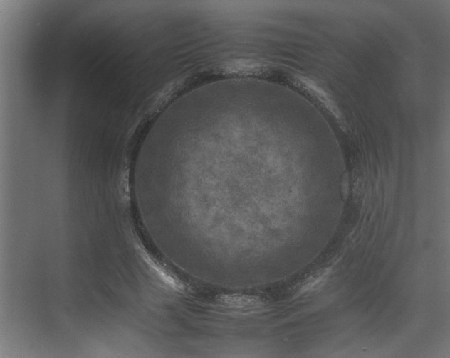 X0000075360633200609081216