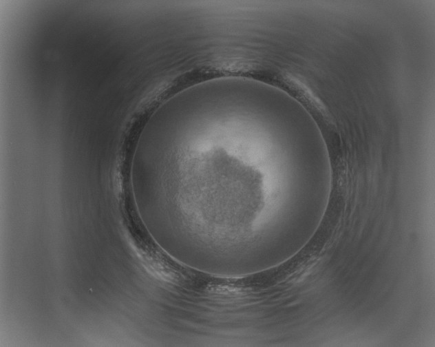 X0000075360635200609081216