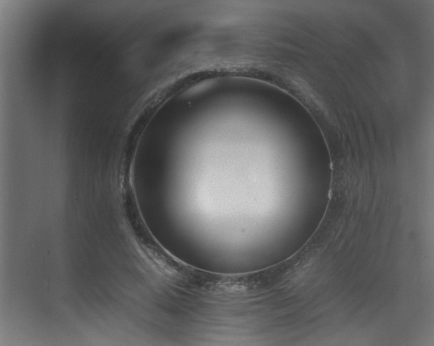 X0000075360640200609081216