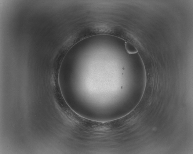 X0000075360643200609081216