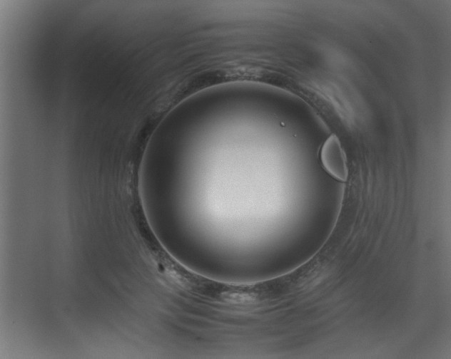 X0000075360649200609081216