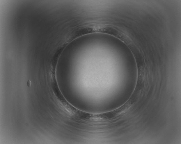 X0000075360650200609081216