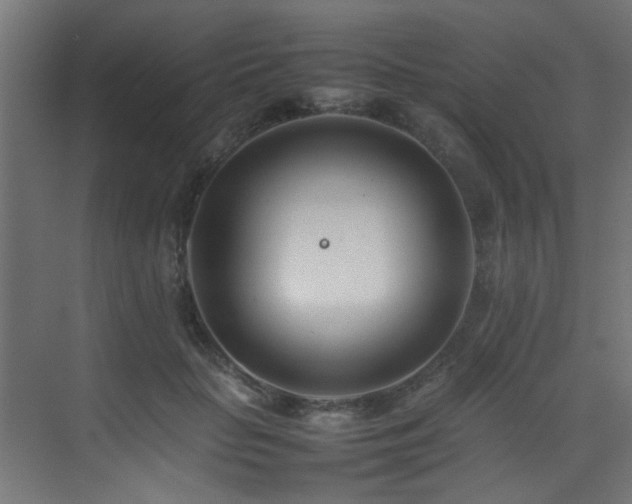 X0000075360653200609081216