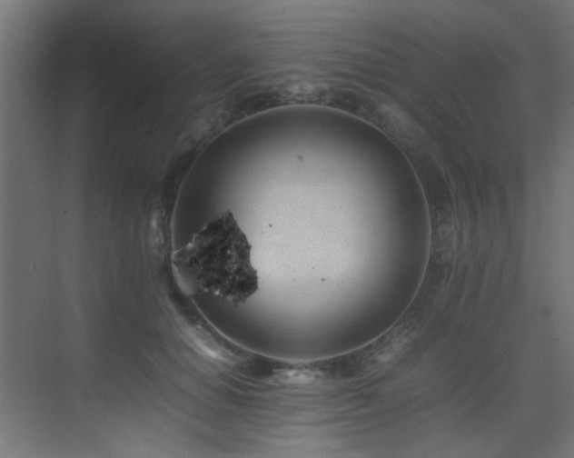 X0000075360654200609081216