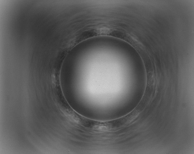 X0000075360655200609081217