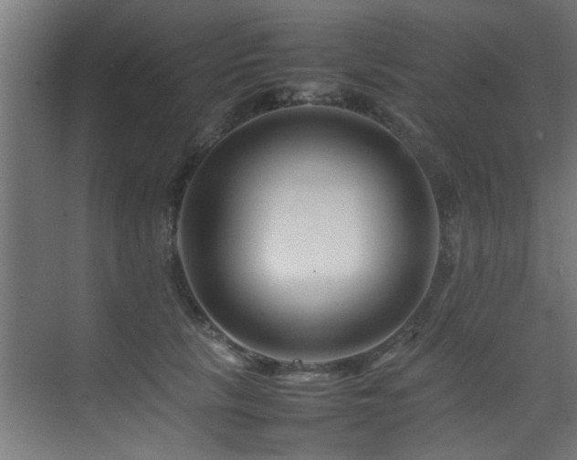 X0000075360657200609081217