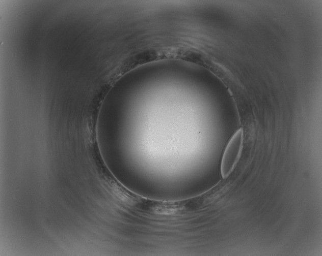 X0000075360661200609081217