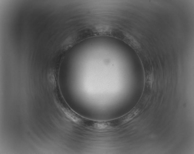 X0000075360662200609081217