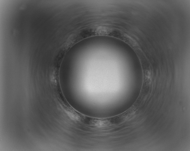 X0000075360663200609081217