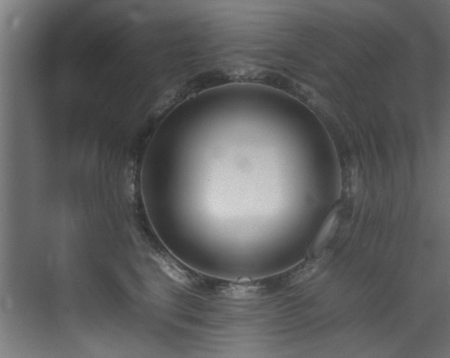 X0000075360664200609081217