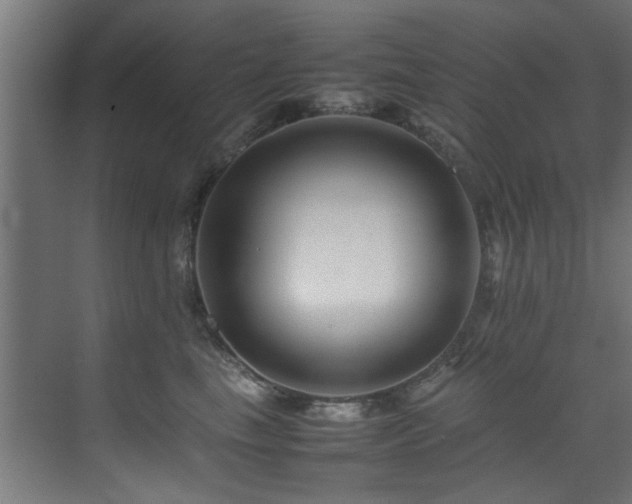 X0000075360665200609081217