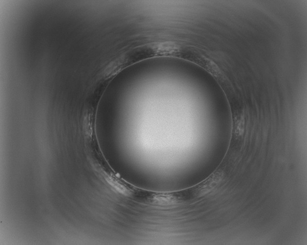 X0000075360666200609081217