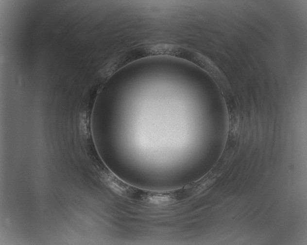 X0000075360669200609081217