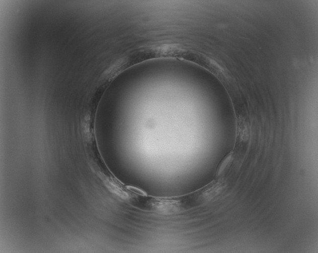 X0000075360670200609081217