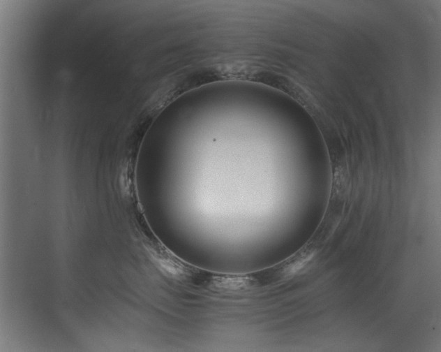 X0000075360671200609081217