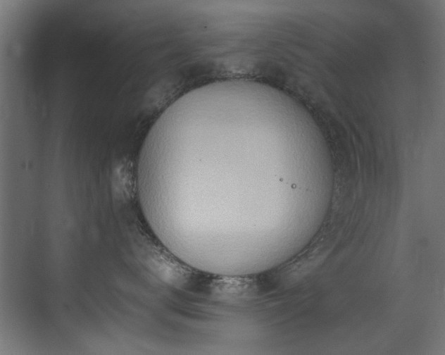 X0000075360672200609081217