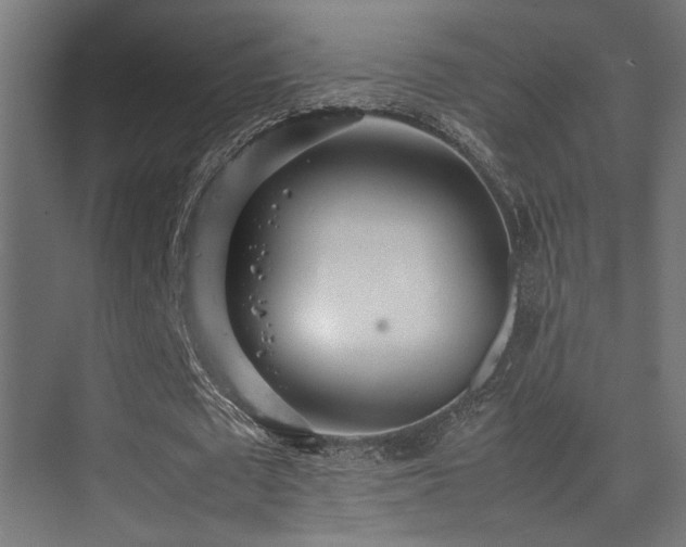 X0000075360673200609081216