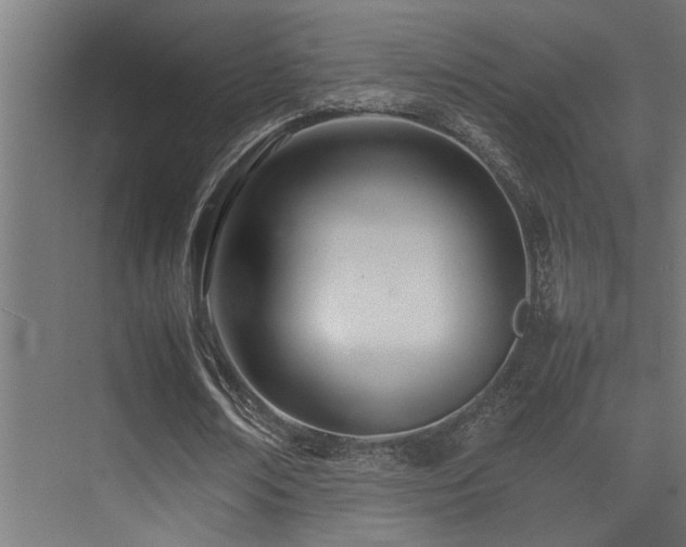 X0000075360674200609081216