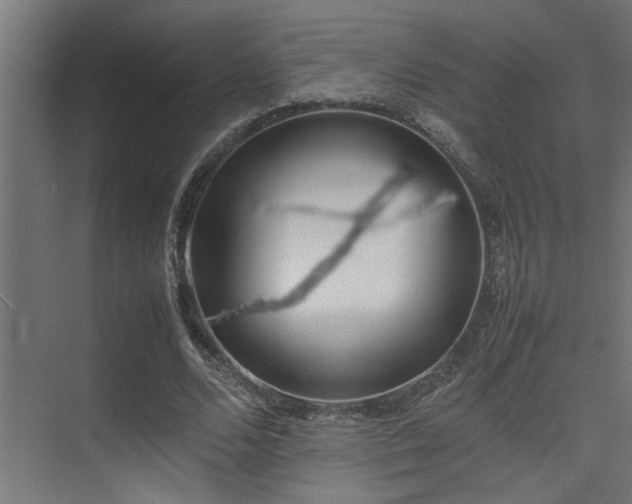 X0000075360680200609081216