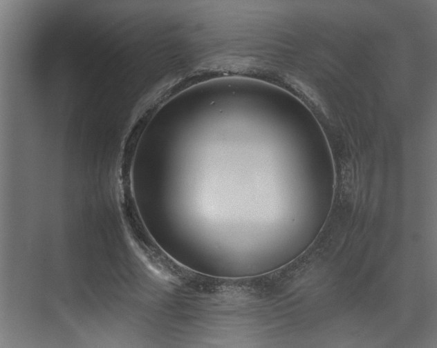 X0000075360682200609081216