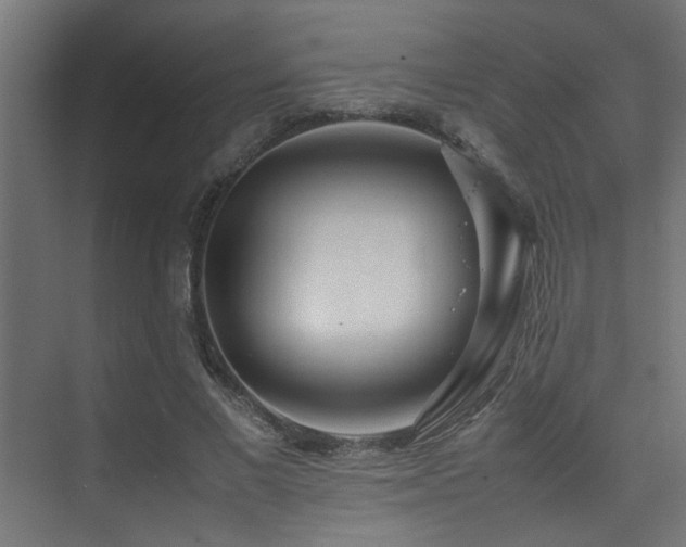 X0000075360685200609081216