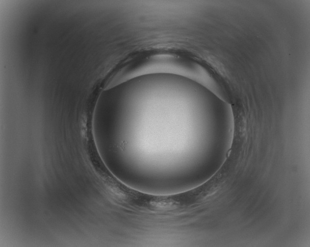 X0000075360693200609081216