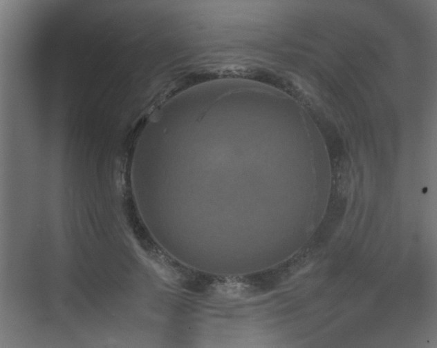 X0000075360695200609081216