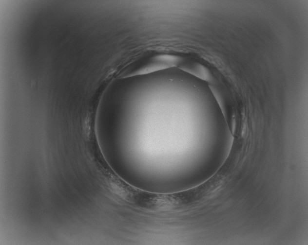 X0000075360697200609081216