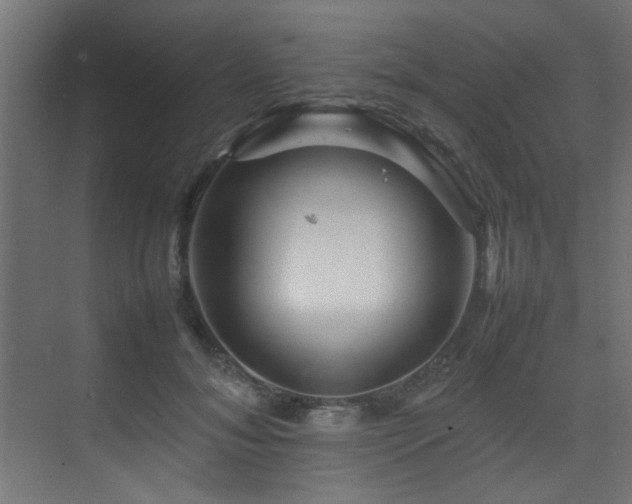 X0000075360700200609081216