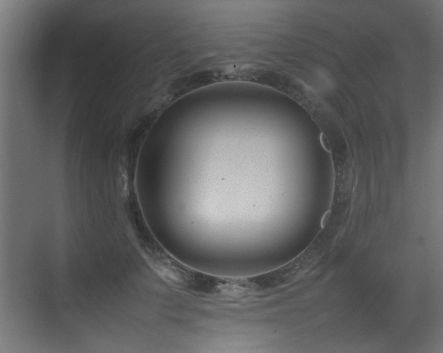 X0000075360703200609081215