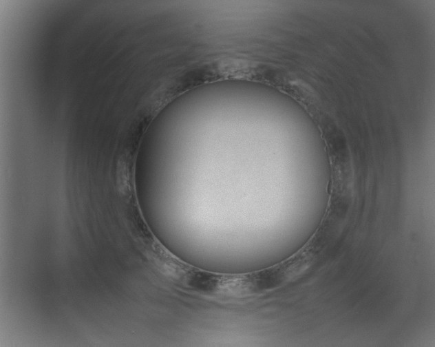 X0000075360705200609081215