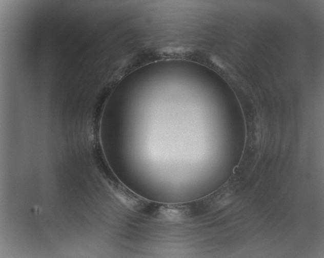 X0000075360706200609081215