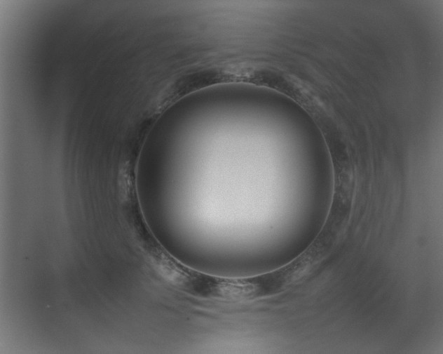 X0000075360707200609081215