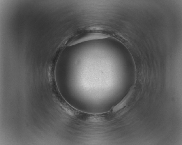 X0000075360708200609081215